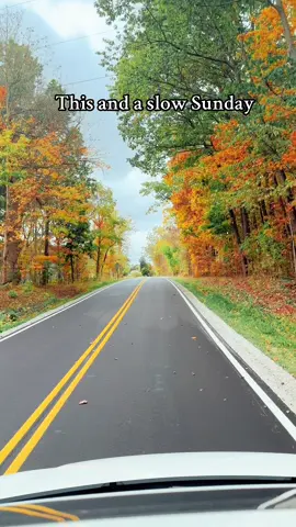 Happy Sunday! #sunday #fyp #foryoupage #fall #minivansquad 