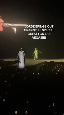 Still cant believe this happened🥹 #lorde #granny #2020 #fyp #concert 