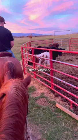 I crave this #viral #fyp #country #western #countrylife 