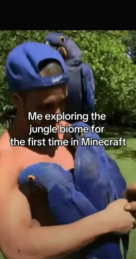 Love Jungle biome and parrots🦜 #Minecraft #viral #fyp #fypforyoupage #parrot 