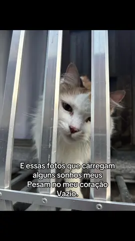 Essa musica acaba cmg de uma forma inexplicável 