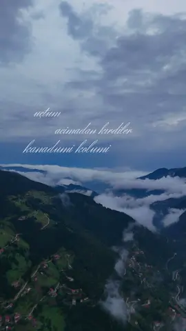 🏔️🌊 • Söz/Müzik: Yüksel Baltacı • #taşacakbudeniz #elamama #keşfet #karadeniz #natural   