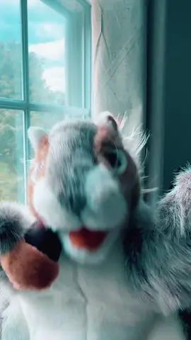 I know I should sleep …..🐿️ #fyp #dance #squirrel #puppet #nickgonwild 