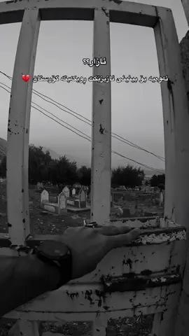 12:01 ڕوبکەیتە گۆرستان💔🥀#foryou #foryoupage #مردن_بەسە_ئامۆژگاریت_بکات #sharmin #viral 