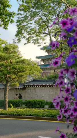 🌄... Dia de verão em Seoul🌞 #korea #seoul #verao #viral #foryour 