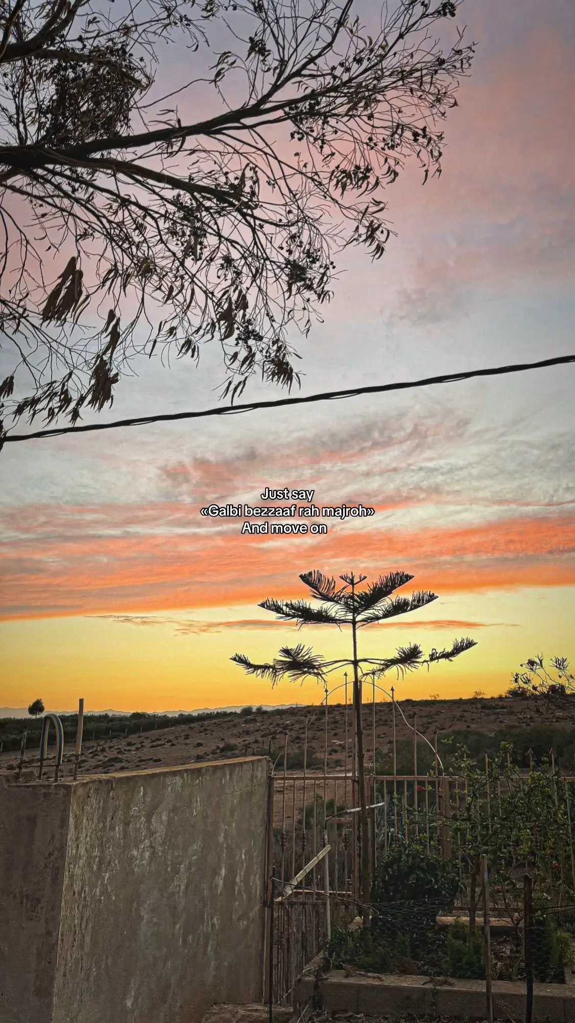 Repost ❤️ #foryou #chebhakim #cettechanson #riffi_ⵣ #🇲🇦🇩🇿🇹🇳 