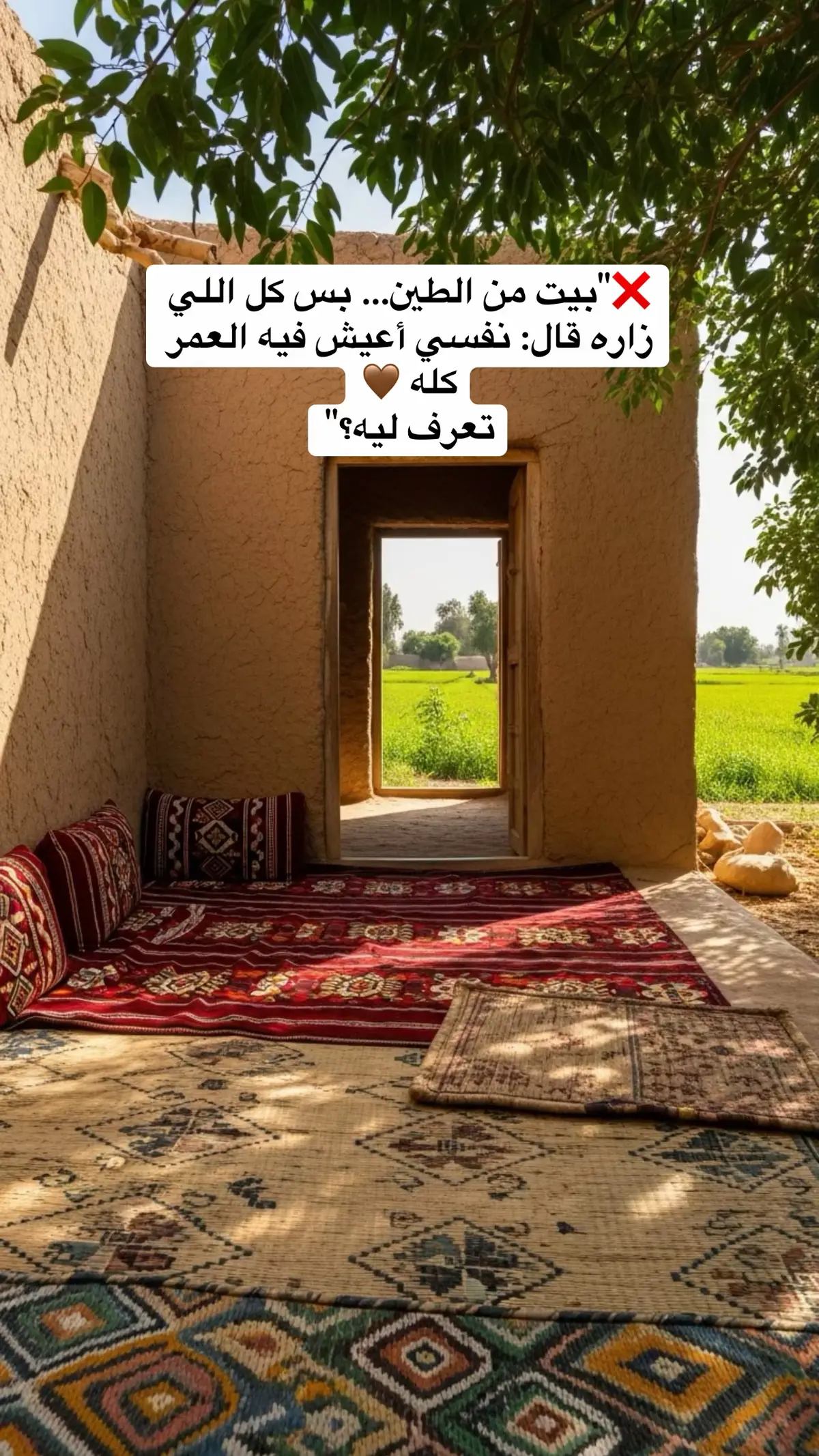 #fyp #art #شيخ_المعمارين #بيوت_الطين #مصر 