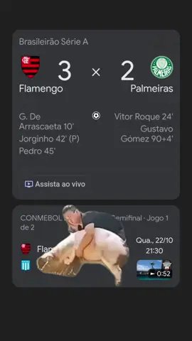 O porco até tentou fugir do abate… 🐷 Mas Arrasca, Pedro e Jorginho tavam com fome. 😋 🔴⚫ Mais uma vitória do Mengão! 👉 Curte aí e marca aquele amigo palmeirense que sumiu! 😂 #Flamengo #futebol #brasileirao 