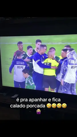apanhar e ficar calado 🤣🙅🏼‍♀️ #palmeiras #arbitragem #flamengo 