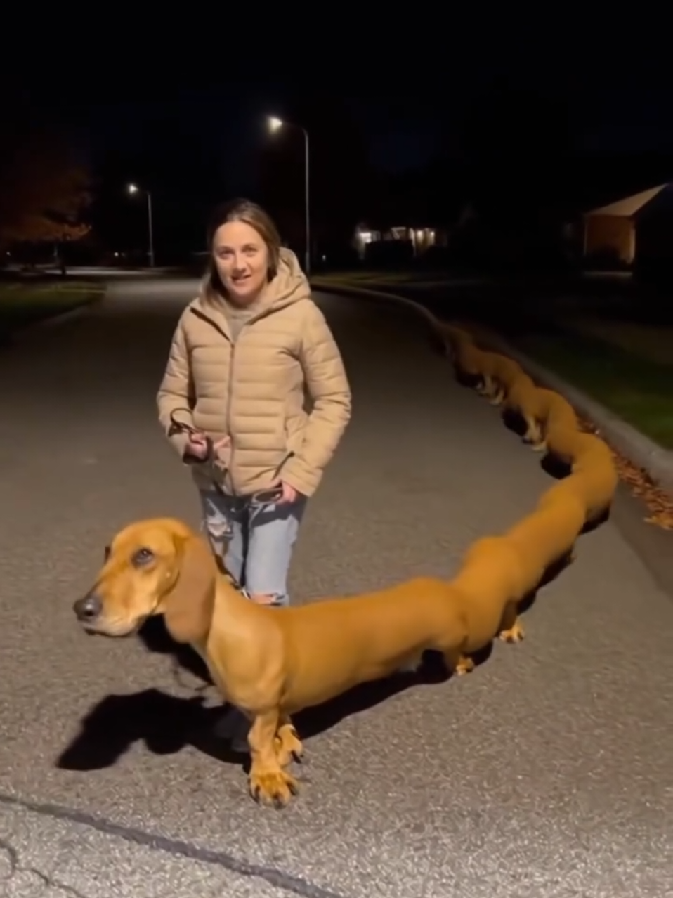 Mine is bigger than yours  #sora2 #ai #aifunnyvideos #aigenerated #dog 