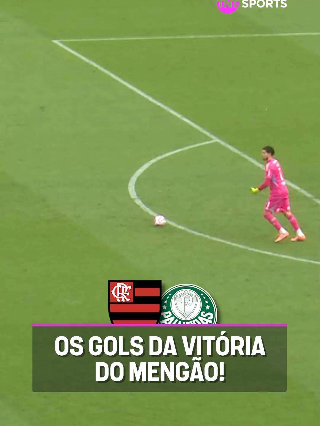 FLAMENGO VENCEU O PALMEIRAS NO MARACANÃ! 🔴⚫ Os gols da vitória que BOTOU FOGO no Brasileirão Betano 2025. Quem tá melhor na briga pelo título? #FutebolBrasileiro #BrasileirãoBetano #tiktokesportes #flamengo #palmeiras