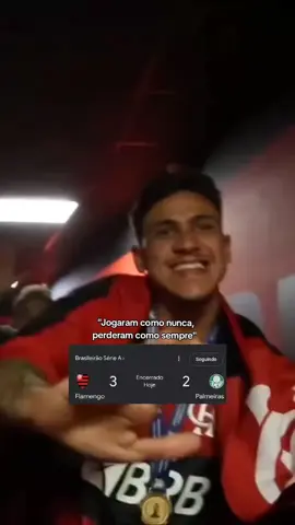 😂😂😂 #flamengo#brasileirao#palmeiras#futebol