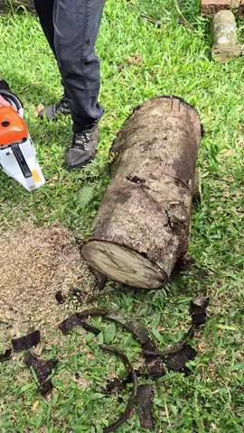 ultimas unidades, compre ja a sua! #motosserra #ferramentas #madeira #DIY #tiktokshop 