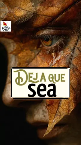 🍂🍃🍁DEJA Que SEA🍁🍃🍂 #Reflexiones #paratiii  #fyppppppppppppppppppppppp  #Déjaloser #Letitbe
