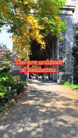 The hidden secret of the cow in Fort Tryon Park 🐄