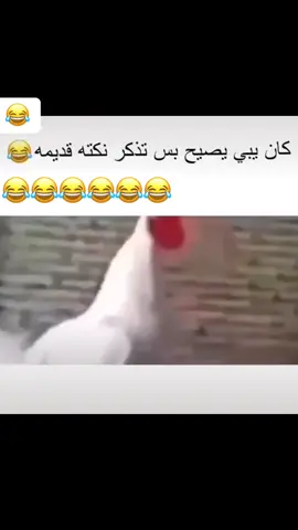 #الشعب_الصيني_ماله_حل😂😂 