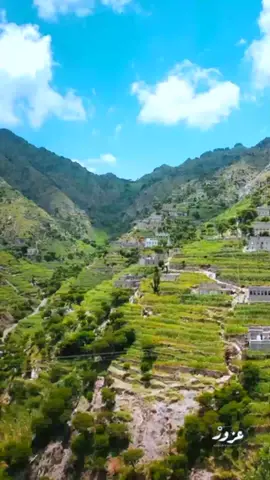 شقول آخر وصية #هاجر_نعمان #تعز #اليمن #سامع #بني_احمد_سامع #بني_احمد #اغاني #عبدالباسط_عبسي