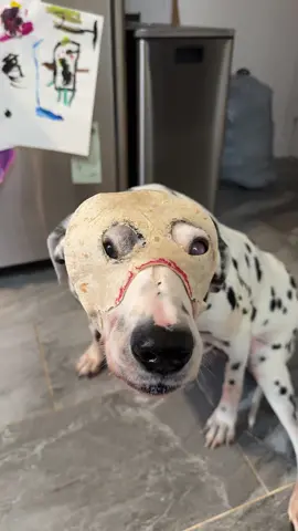 #EdGein #OhSarah #MotherSaid #jezebel #Netfix 