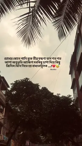 চোখের কোনে পানি বুকে তীব্র যন্ত্রণা মনে শত শত আশা অনুভূতি আক্ষেপ সবকিছু চাপা দিয়ে কিছু জিনিস মেনে নিতে হয় বাধ্যতামূলক 💔😅#foryour #foryoupage 