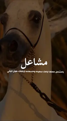 شيلة باسم مشاعل 2025شيله مدح مشاعل جعلها ايامك سعيده #شيلات_مدح_شيلات_تباريك_شيلات_زواج #السعودية_الكويت_الإمارات_قطر #شيلات_روعه_خواطر_ذوق #pppppppppppppppp 