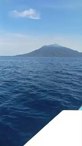 pertengahan makean moti beliau lagi menyebrang 😁😁😁