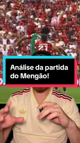 Flamengo 3 x 2 Palmeiras Análise do jogo. Arbitragem é um problema sério já sabemos disso!  #flamengo #palmeiras #brasileirao #tiktokesportes #analise 