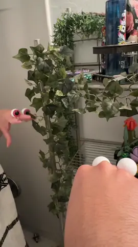 I get thirsty at the thought of you #sabrinacarpentervideos #oobi #funny #fyp #foryou 