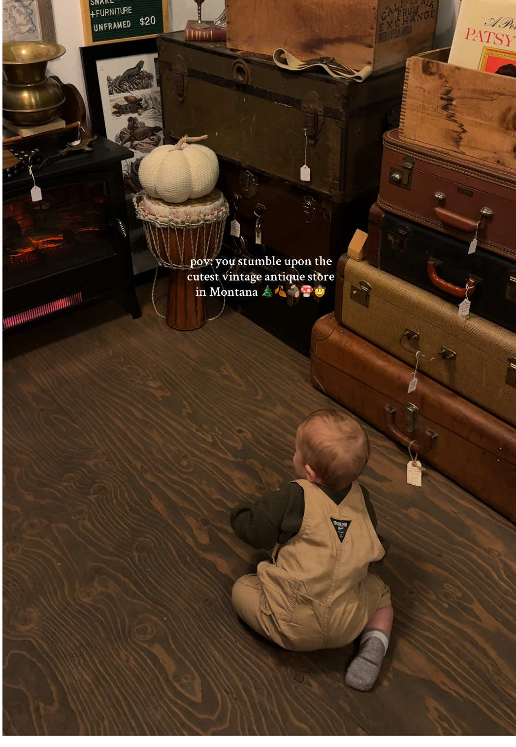 the cutest lil store in Columbia falls, MT called Wild Wanderer with all the cutest lil vintage items and antiques! 🤍🍂✨ #montana #whitefishmontana #whitefish #antique #shopping 