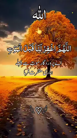 #creatorsearchinsights #creatorsearchinsights اللَّهُمَّ اغْفِرْ لَنَا قَبْلَ الْمَوْتِ اے پروردگار موت سے پہلے ہماری مغفرت فرما #WhatToWatch #1millionaudition #views 