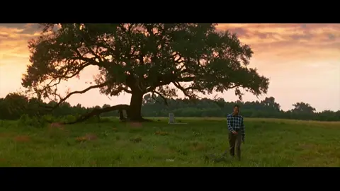 I May Not Be  A Smart Man | Forrest Gump Edit | #forrestgump #forestgump #fyp #viral #edit #chandelier #forrestgumpedit