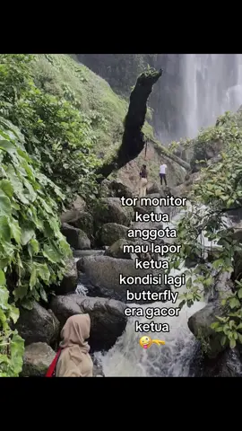 butterfly era #lewatberanda #fyp #xyzbca 