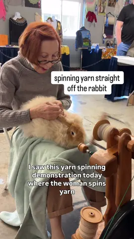 so i obviously need a rabbit now #rhinebeck 