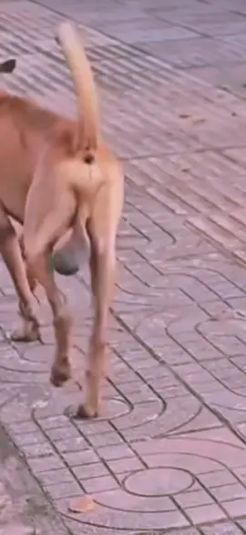 #LIVEIncentiveProgram #JustGoLIVE #PaidPartnership 