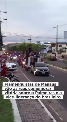 Valendo que taça mesmo 🤔 #flamengo #manaus #manausnotiktok #manausmemes #manausamazonas 