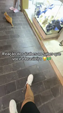 Mais concientes que muitos brasileiros KKKK #bolsonaro #lula #dubai #fyp 