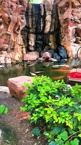 đien trong đam mê#fyp #fypシ #foryoupage #trending #xunghuongtiktok❤️👈 