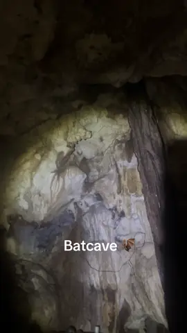 #batman #bat #caveman #surprise #mexico Nobody mentioned going into a pitch black Batcave on the tour 🦇🦇🦇