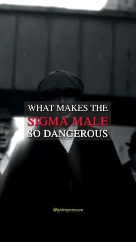 Which wolf do you have inside of you? 🐺 #sigmamale #alphamale #joker #millionairemindset #fyp 