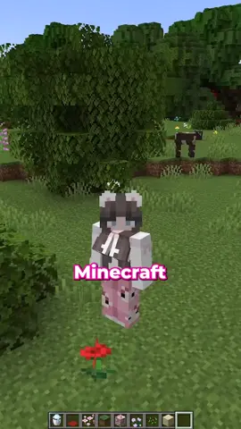 facts you def didn't know 😉 #Minecraft #mcfacts #fyp 