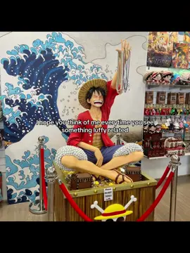should I do a zoro version. #anime #luffy #onepiece #fyp #capcut he’s adorable