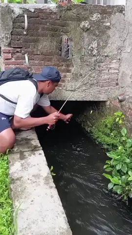 belum jadi rejekinya ‼️ #vidioviral #fypシ゚ #mancing #blethufishing 