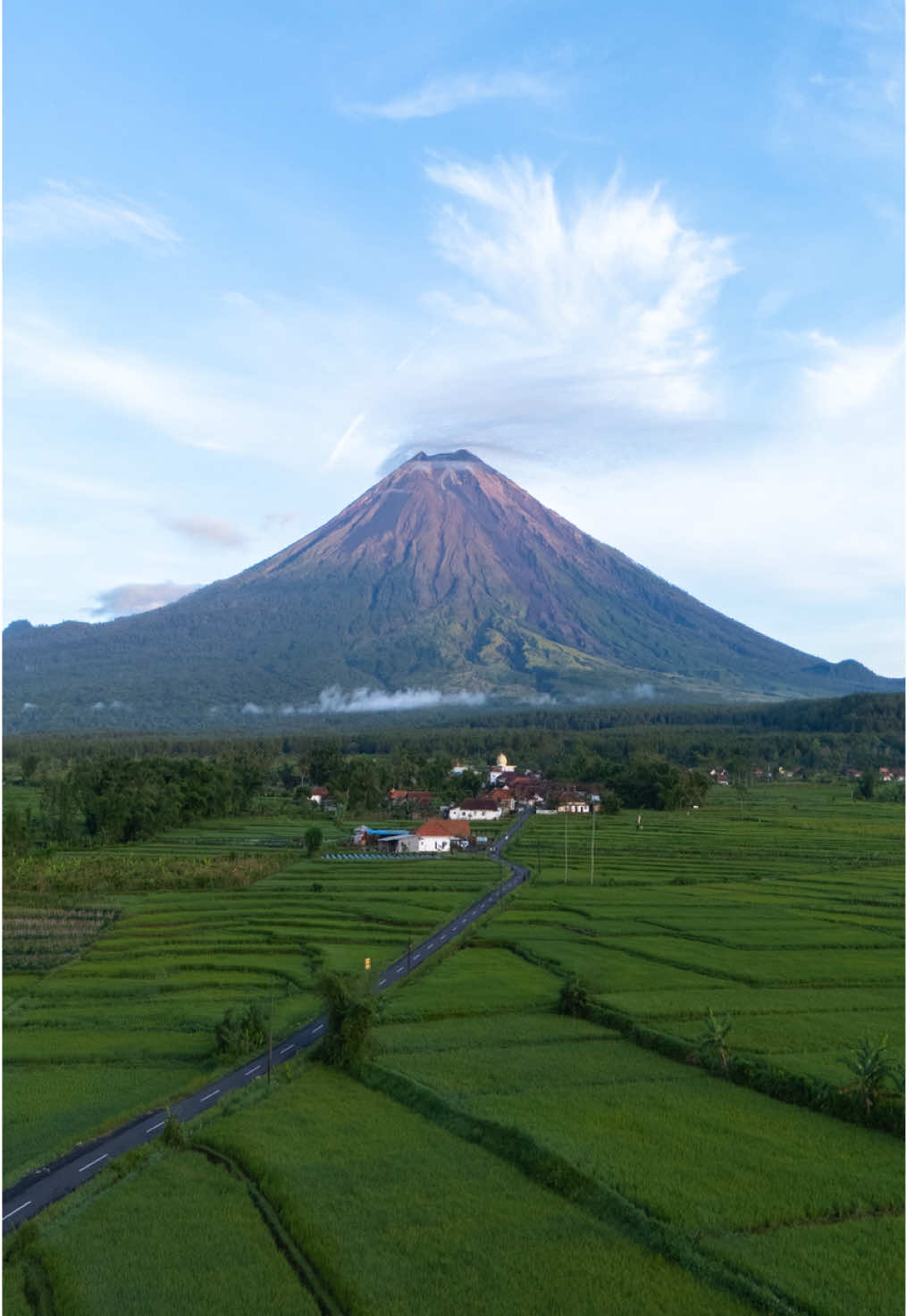 Good morning from Pronojiwo Where the morning sunshine meets the beauty of nature 🌋🌲 @PRONOJIWOTOUR | EAST JAVA TRIP  #semeru #gunungsemeru #dolanpronojiwo #eastjava #indonesia 