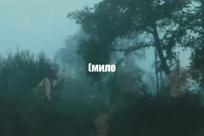 CUPSIZE-по улице иду я #текстпесни #song #lyricssong #CUPSIZE #песня 