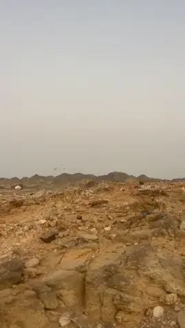 #الشعب_الصيني_ماله_حل😂😂 #متابعه_ولايك_واكسبلور #افلح_من_ذكر_الله_وصلى_ع_النبي #صيد #متابعه_ولايك_واكسبلور_احبكم كم تتوقعون طاحت 