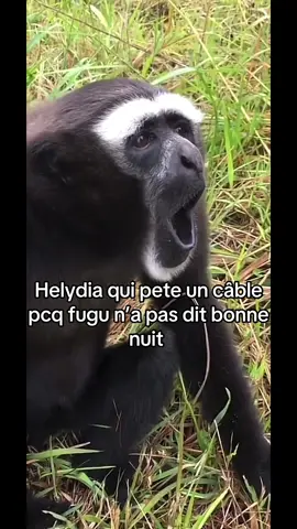 #helydia #fugu #dram #fyp #humour 