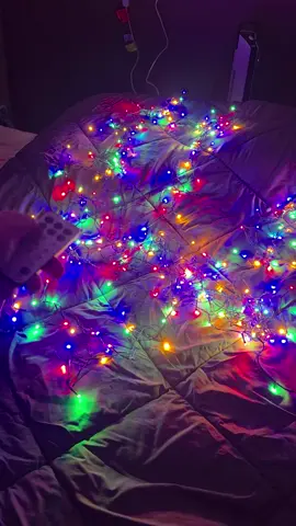 #christmas #christmasdecor #christmaslights #obsessed #colorchanging 