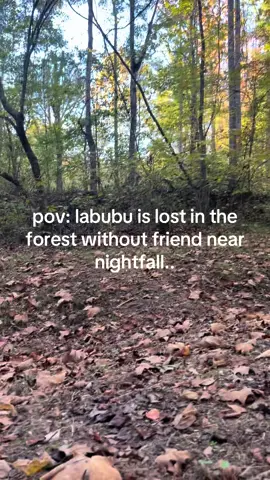 where do you think labubu is? #labubu #pov #bluelabubu 