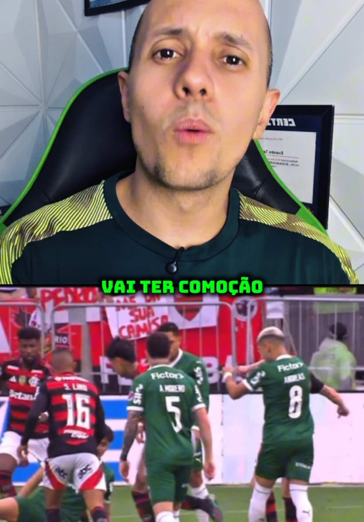 Será que passa na tv ?  #palmeiras #flamengo #brasileiraobetano #futebol #arbitragembrasileira  