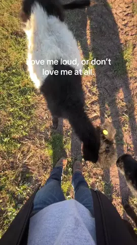 #trucksoftiktok #boyswillbeboys #fypシ゚viral #trending #Relationship 