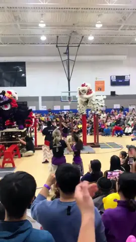 thank you thank you thank you @Eternalsliondance.MA  #liondance #mualang #eternalsliondance